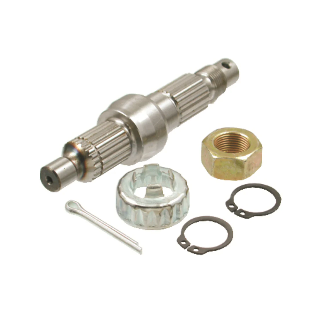 Achteras Revisieset RMS Piaggio / Gilera 50cc 2 Takt