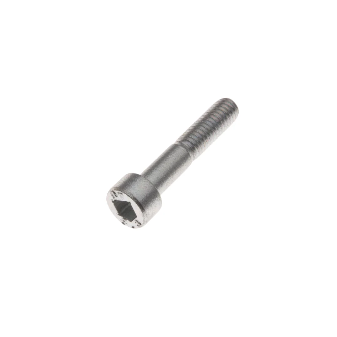 Anti Diefstal Bout M6x30 Kickstartdeksel Piaggio Origineel