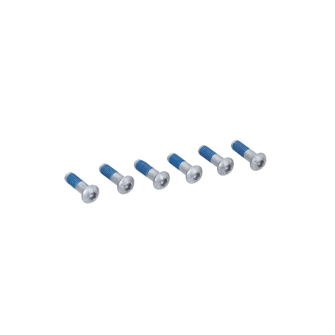 Boutset Remschijf M6x20mm 6pcs