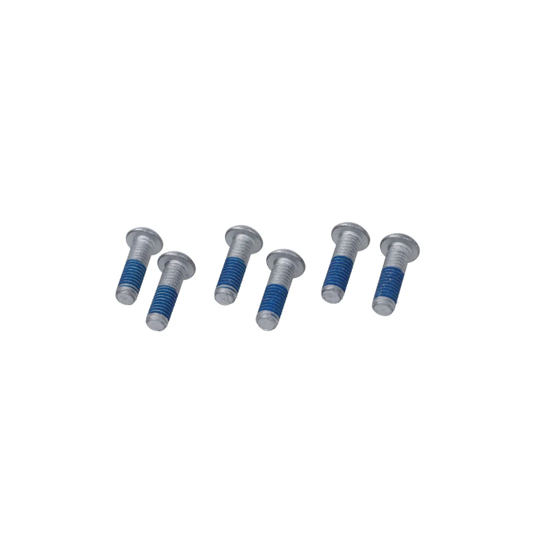 Boutset Remschijf M6x20mm 6pcs - Image 2
