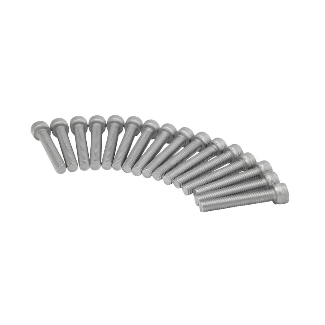Carterboutset M6x35MM 16-Delig Piaggio / Vespa - Image 2