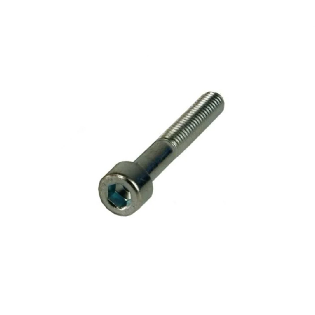 Inbus Bout M6x30MM Carterkap 25 Stuks