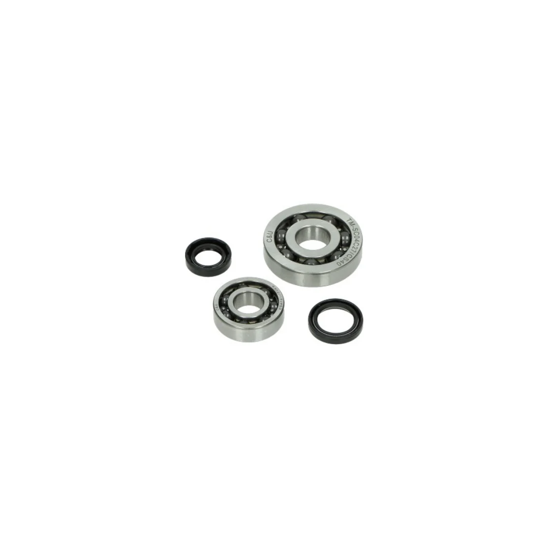 Krukaslagers + Keerringen Piaggio 4 Takt Euro 2/4/5
