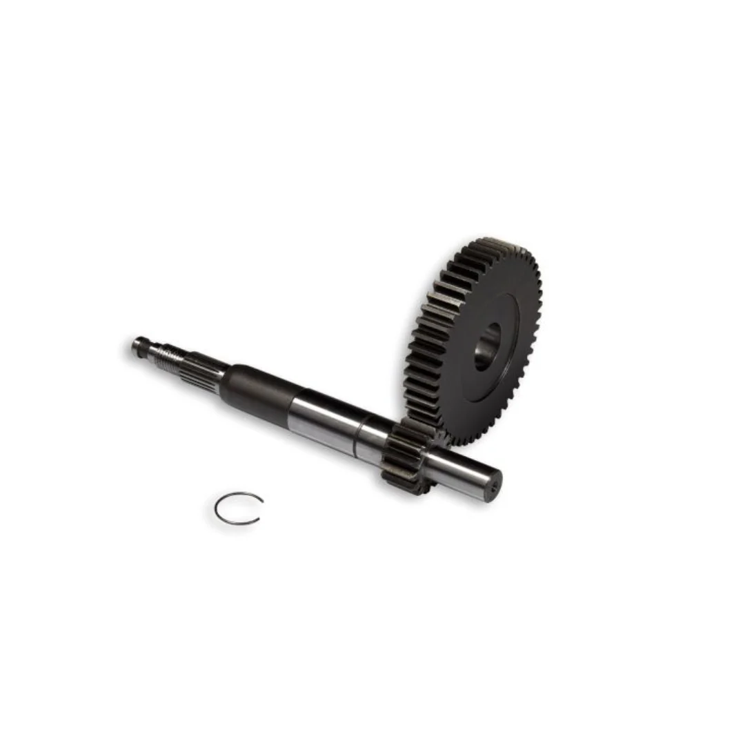Malossi Vertanding Primair 14/48 Vespa Sprint 4T 2V / iGet Euro 4