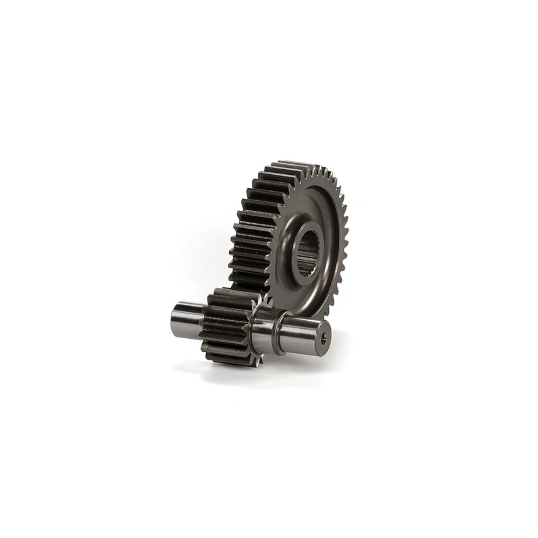 Miniatuur 1