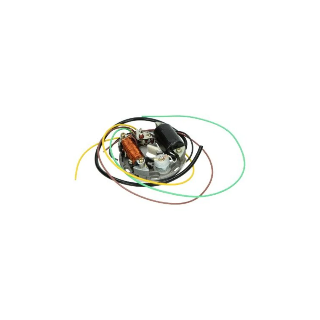 Ontsteking DMP Mod. Bosch 6v 15/5-3W - Kreidler, Puch, Zundapp
