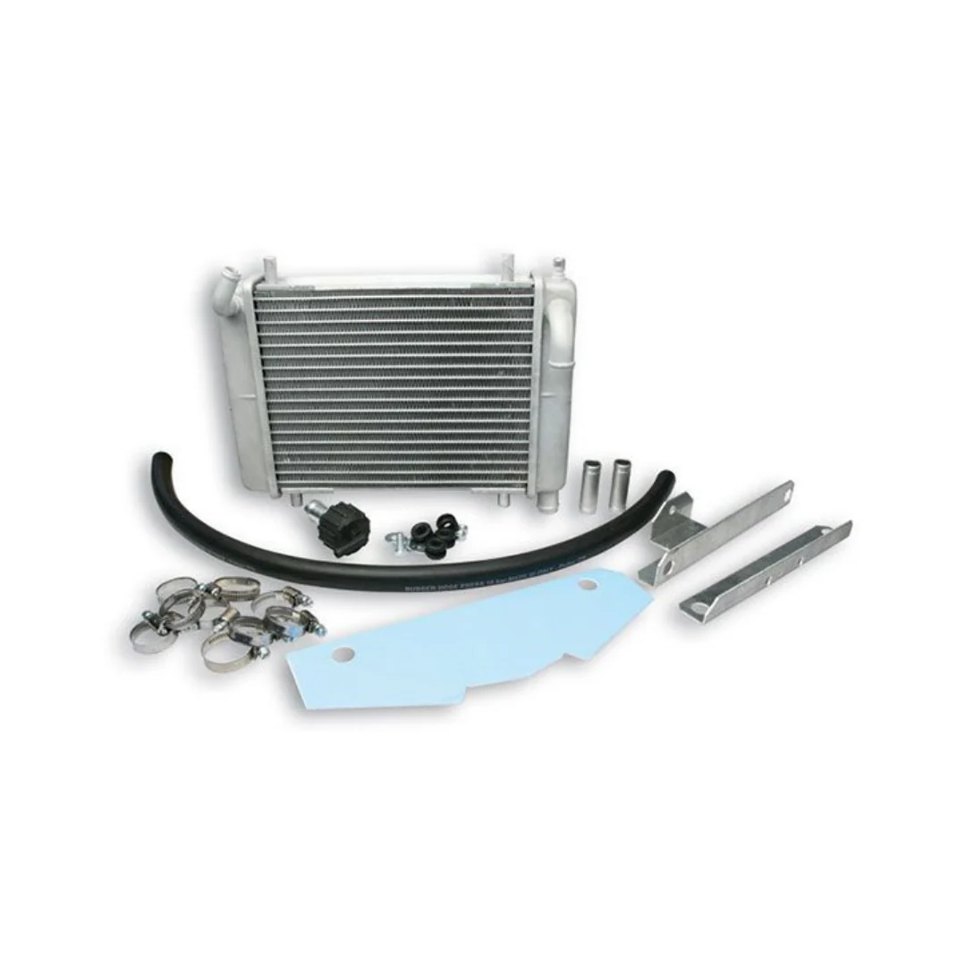 Radiateur Malossi Piaggio Zip SP 2000