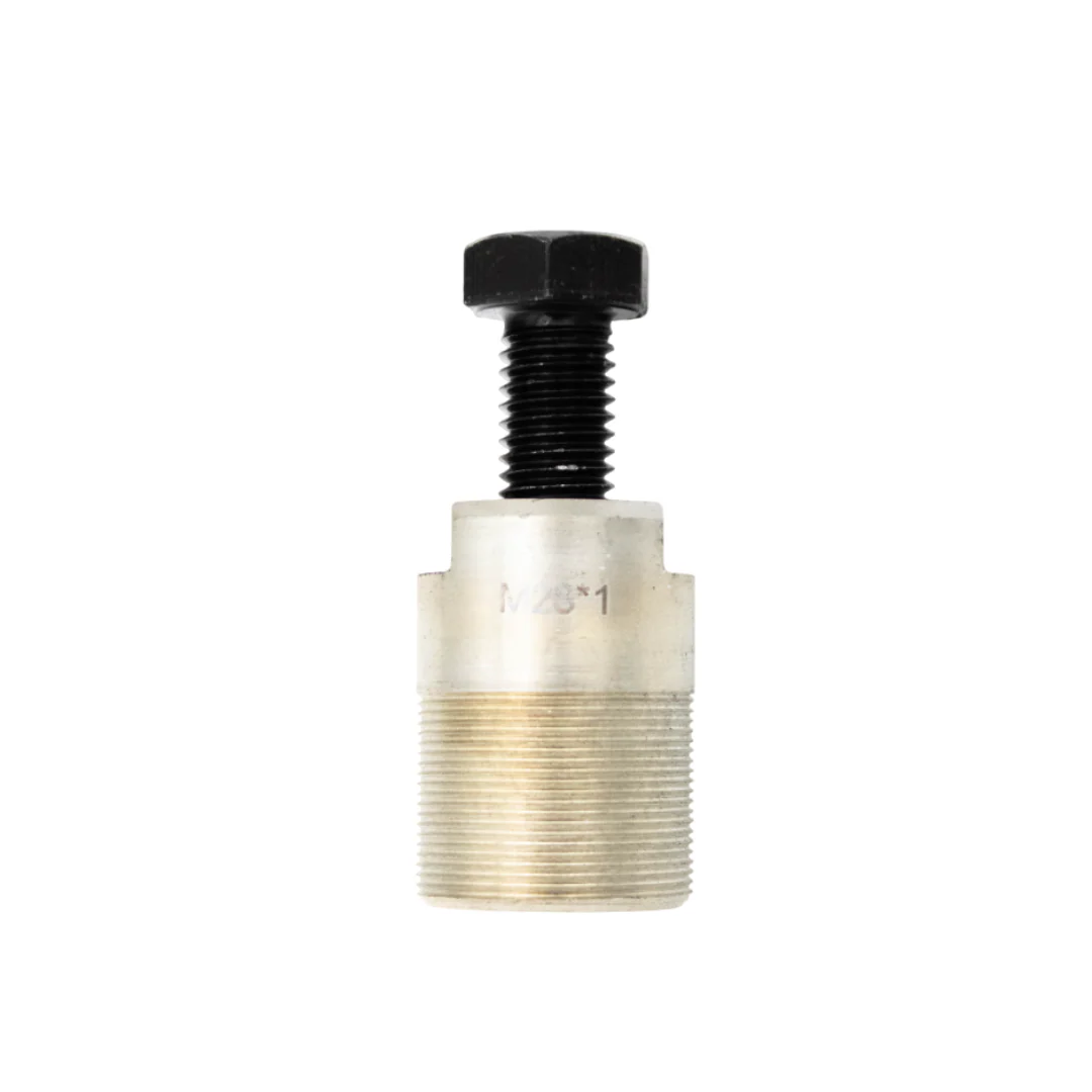 Miniatuur 1