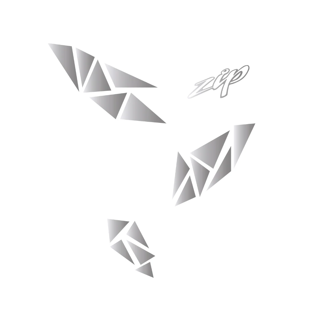 Voorkapgrill Stickers Piaggio Zip SP - Image 6